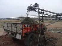Automatic Litter Loading from EC Sheds