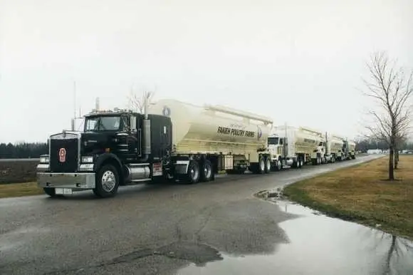 Fakieh Poultry, Jeddah, KSA - Walinga transportation Equipment