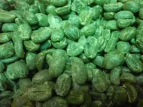 semilla lista para proceso de pregerminado.