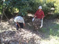 Día de campo: elaboración de compost