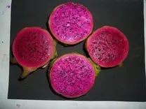 Frutos de dos genotipos diferentes de pitahayas de pulpa solferina