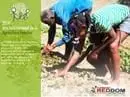 42Agricultura