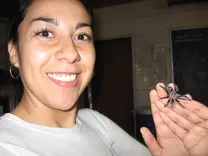 Tarantula