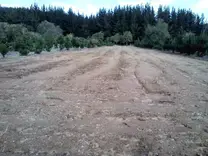 agroforesteria