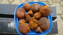 Cow /Ox Gallstones for sale