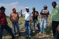 Henry conversando con un grupo de productores  y tecnicos en una plantacion de Manihot utilissima.