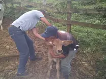 Trabajo con pequeños productores en la montaña