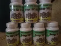 MORINGA EN BARINAS VENEZUELA