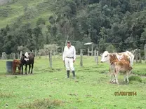 finca los mellizos, riomanso, tolima