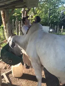 En la finca con mi hijo