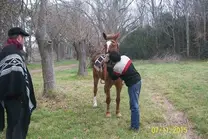 mi caballo alazan