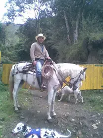 Con los animales