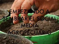 EMPEZANDO A SEMBRAR EL SOCIAL MEDIA AGROPECUARIO