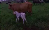 se que non las q deseo pero por algo tengo que empezar gracias y saludos