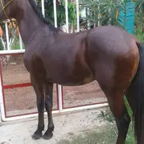 no tiene nada de clase pero es el uniko q tengo jajajaa