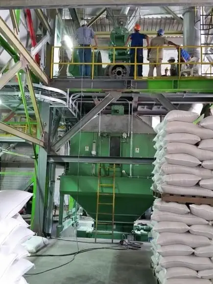 Nueva linea de 300 hp ALIAGRO grupo don pollo - NUEVA LINEA PELLETIZADO 3 mm  20 t/hALAIGRO - Armenia