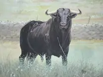 TORO