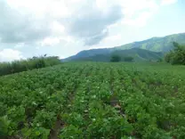 norte verano