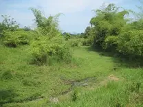 PROTECCIÒN DE CAUCES