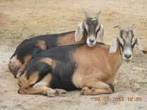 Madre e hija