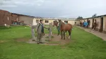 Caballo