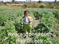 www.agriperia.com
