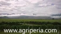 www.agriperia.com