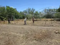 Construccion de nuevos tuneles para Tomate y pimiento dulce