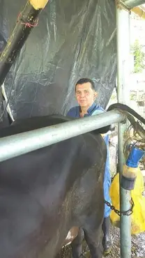 Chequeo reproductivo ecografia