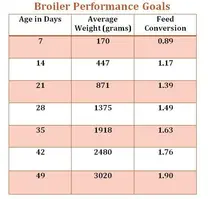 broiler performance goal