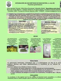 CONGRESO INTERNACIONAL DE FITOPATOLOGIA DF MEXICO 2015