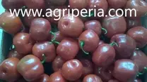 www.agriperia.com