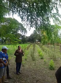 Día  de  campo  en  unos  de  los  BFM