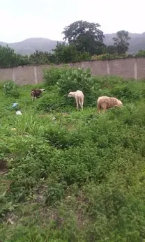 poco a poco