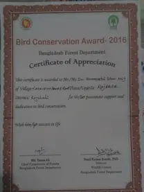 Birds Award