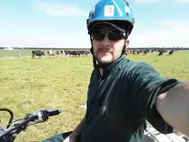 Arriando las vacas para el Ordeño de la tarde.