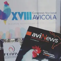 aviNews América Latina