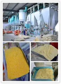 Large Scale Corn Processing Plant