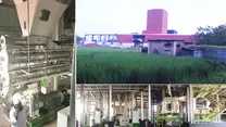 Bangladesh 10TPH livestock project- creating value for customers