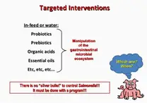 Poultry gut health