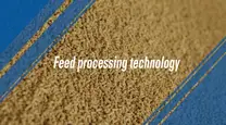 The effect of feed processing technology on the safety of feed