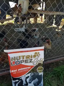 NUTRILÓPEZ EN AVES DE CORRAL