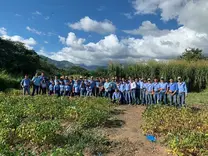 Final del Proyecto de Fitomejoramiento