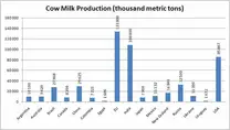 Cow milk production