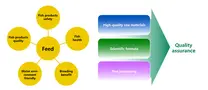 Make good aquatic extruded feed to seize the market opportunity