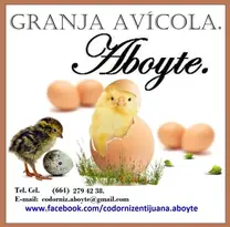 Granja Avícola Aboyte.
