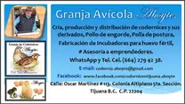Granja Avícola Aboyte.  &  Incubadoras Aboyte.