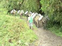 Sin tanques de frío