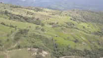 Pandy Cundinamarca ganadería de cría 1200 msnm pasto brachiaras