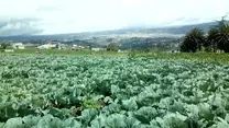 DESDE AMBATO ECUADOR